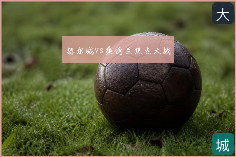 赫尔城vs桑德兰焦点大战